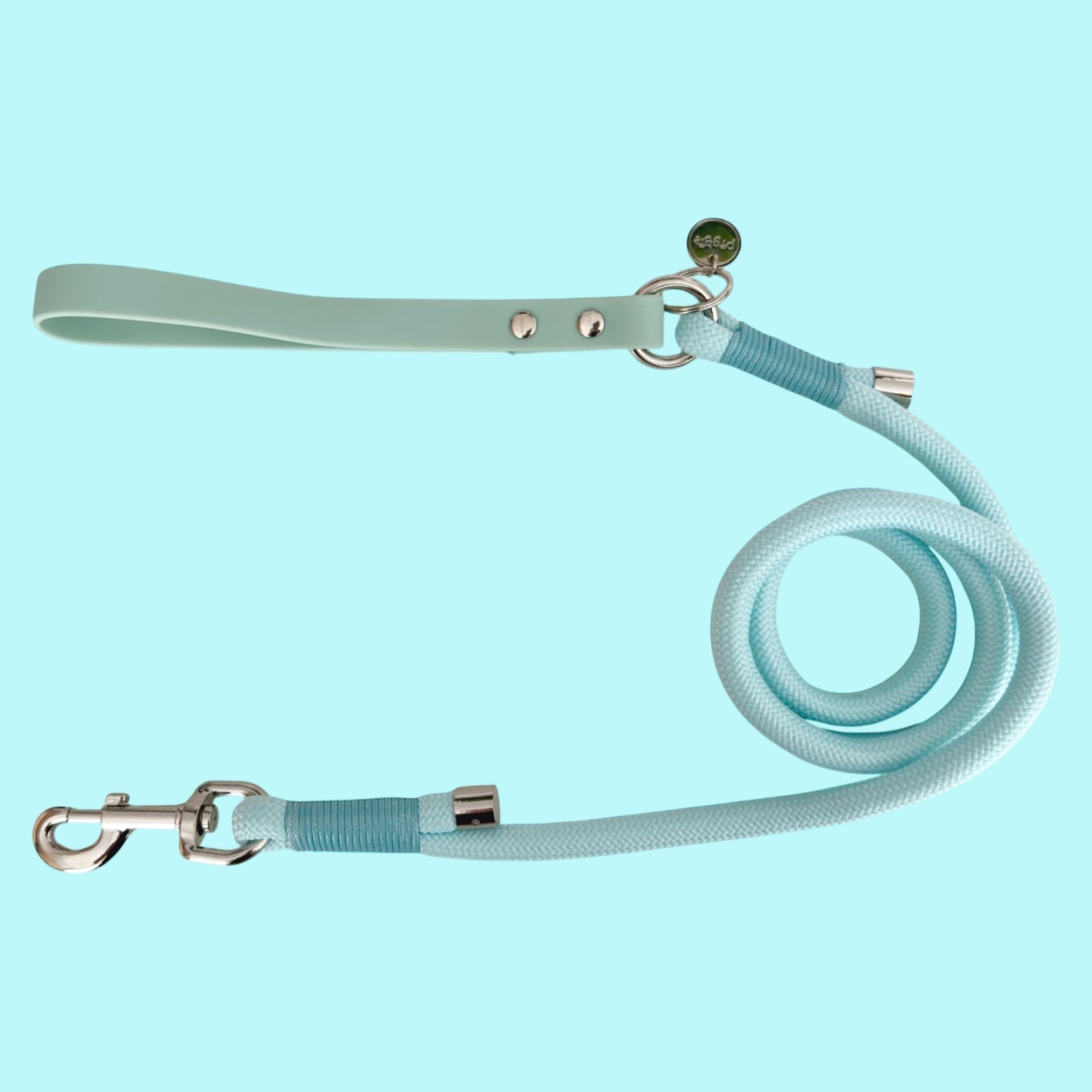 Piggie Rope Lead