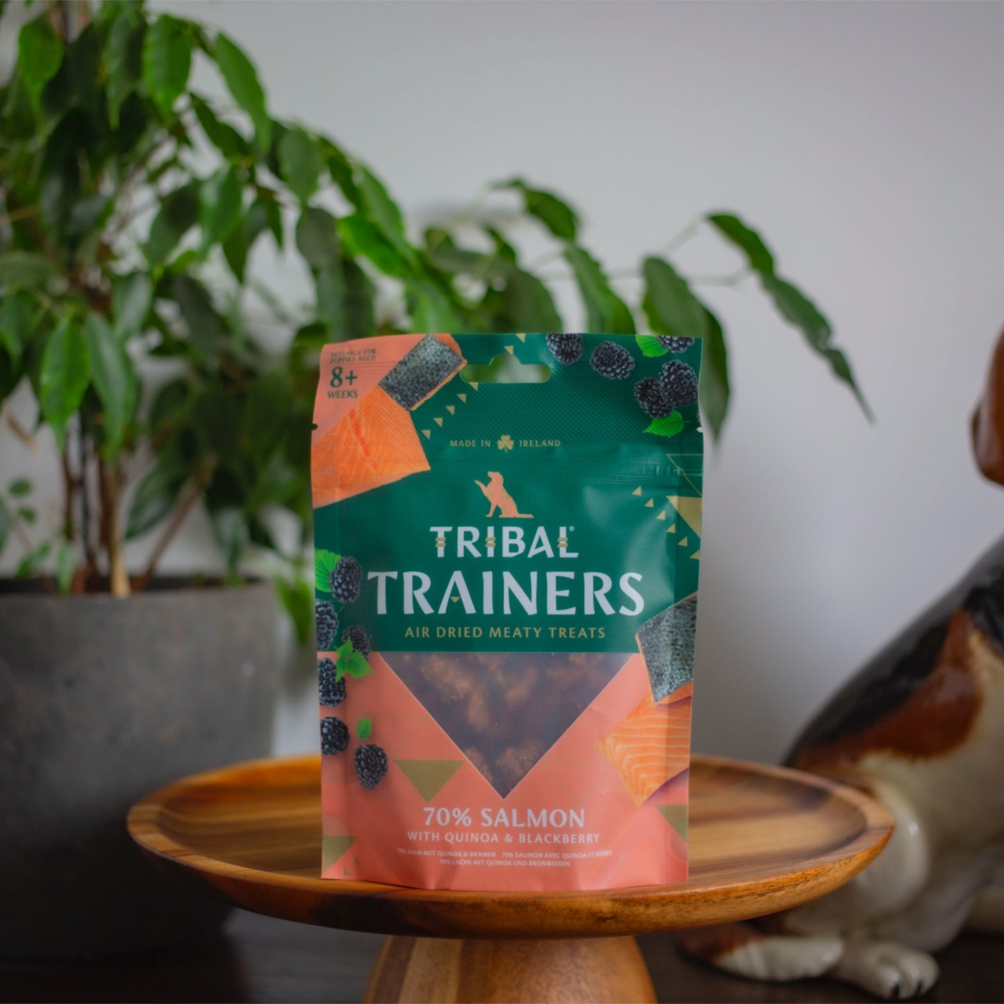 Tribal Trainers Salmon & Blackberry (80g)