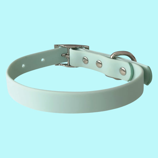 Piggie Waterproof Collar Green