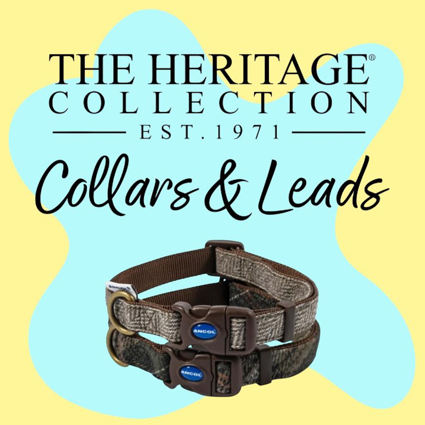 Heritage Collars & Leads