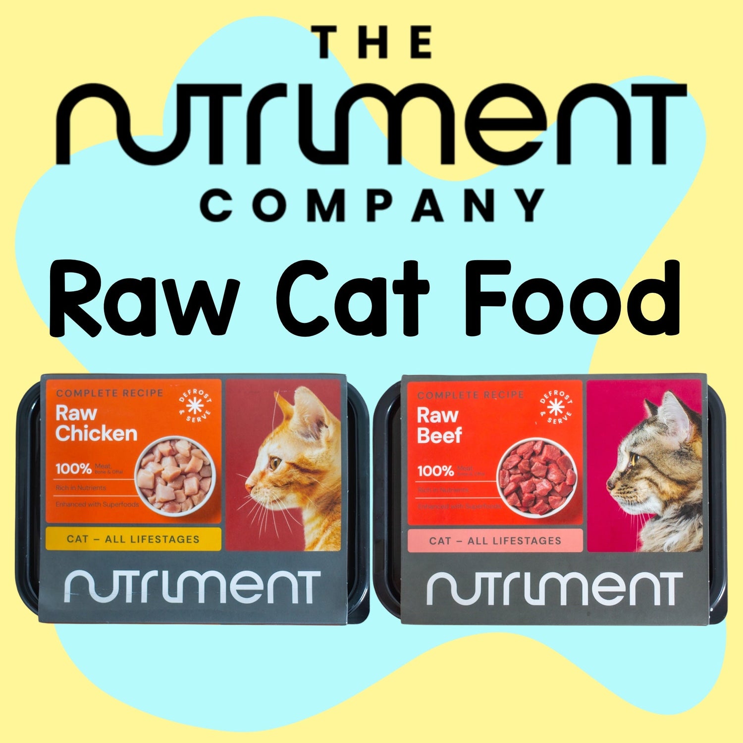 Raw Cat Food