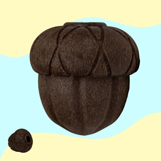Orva Acorn