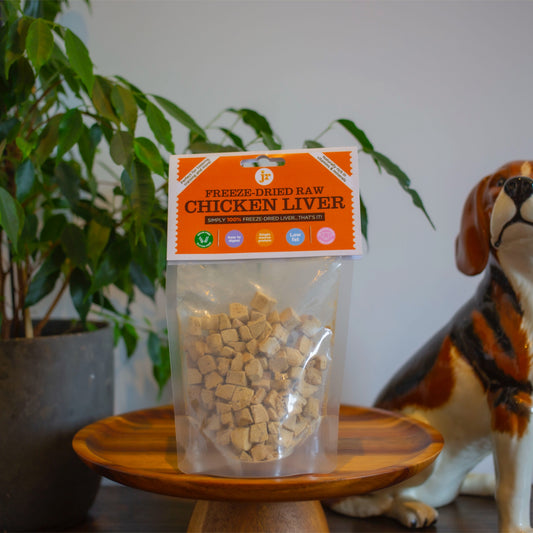 JR Freeze Dried Chicken Liver 50g