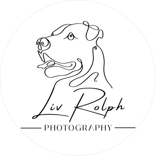 Event sponsor logo