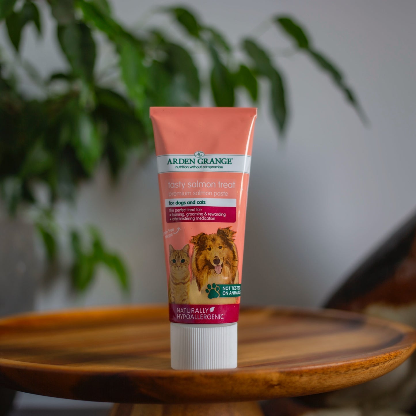 Arden Grange Salmon Paste (75g)