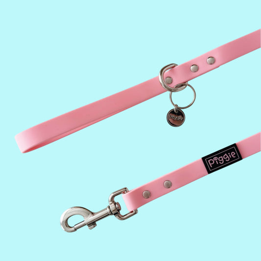 Piggie Waterproof Lead