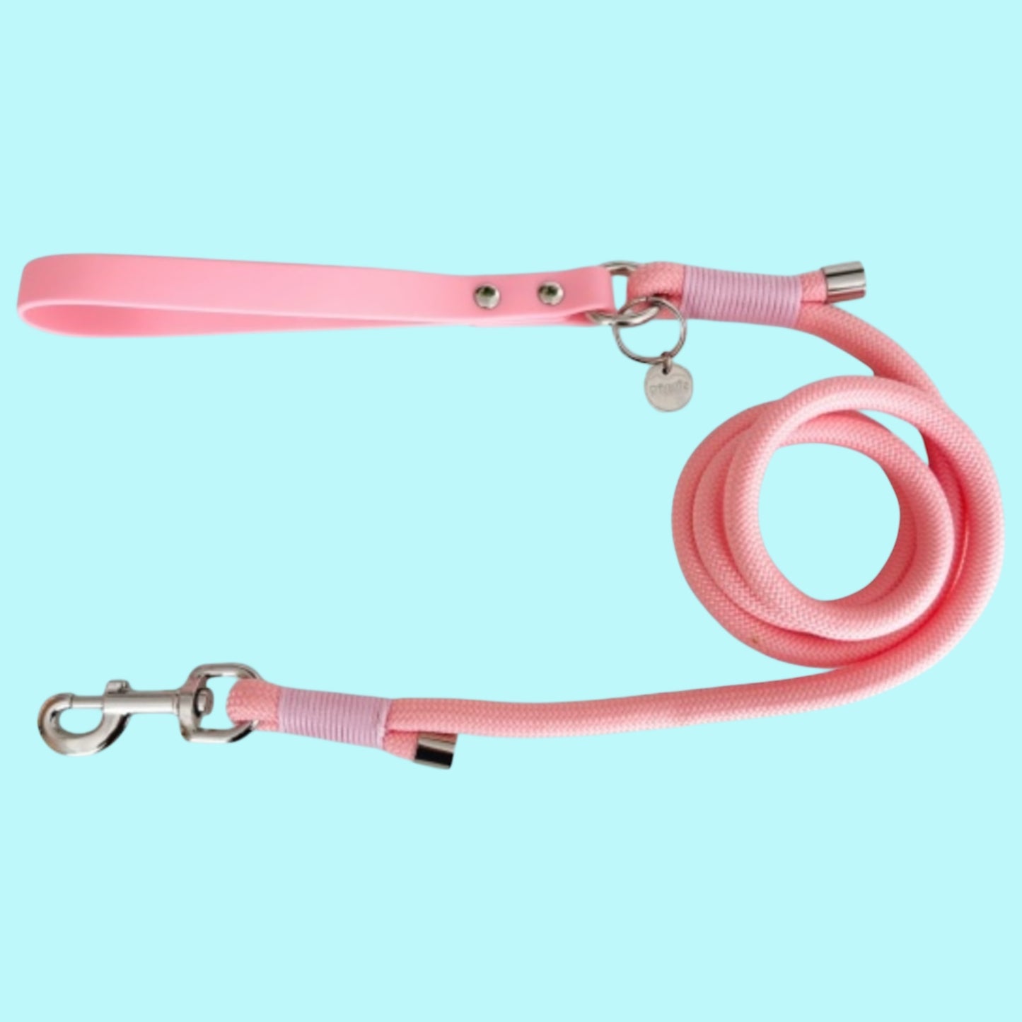 Piggie Rope Lead