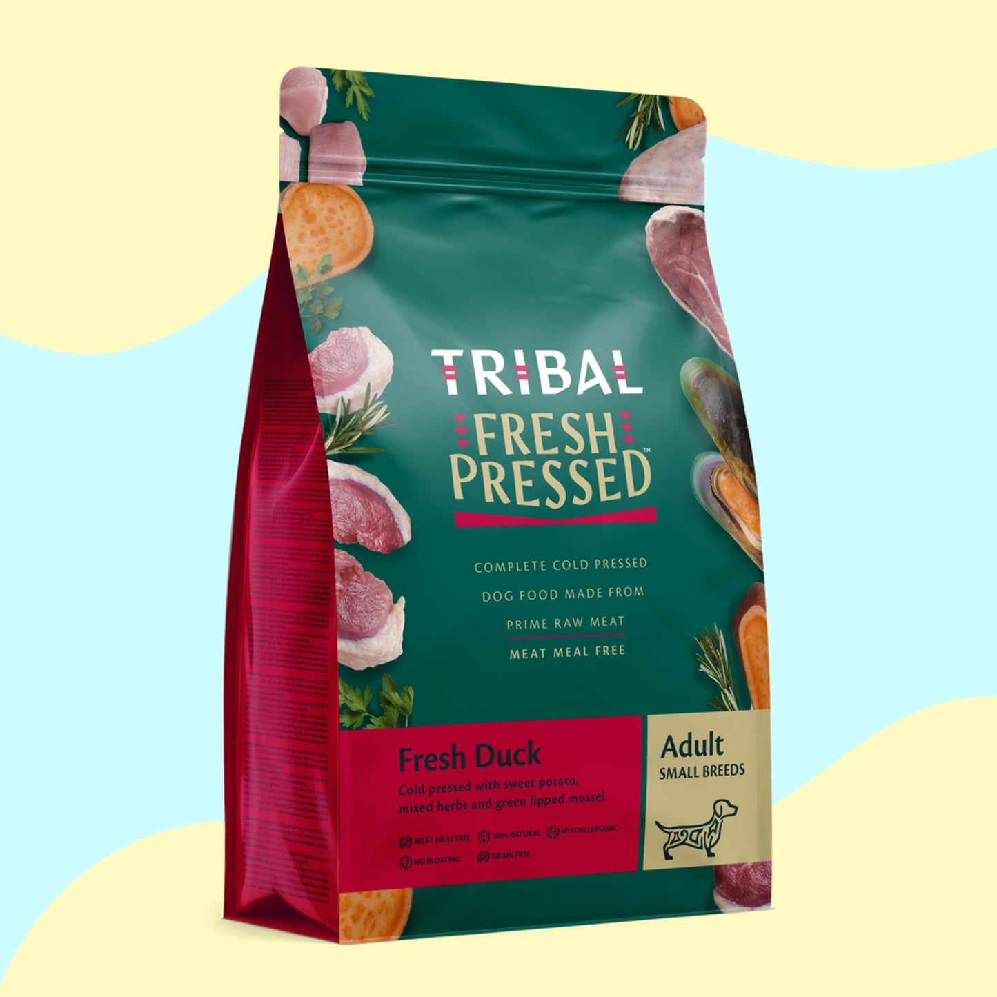 Tribal Small Breed Duck