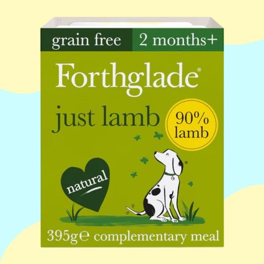 Forthglade Just Lamb 395g
