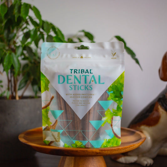 Tribal Dental Sticks Large