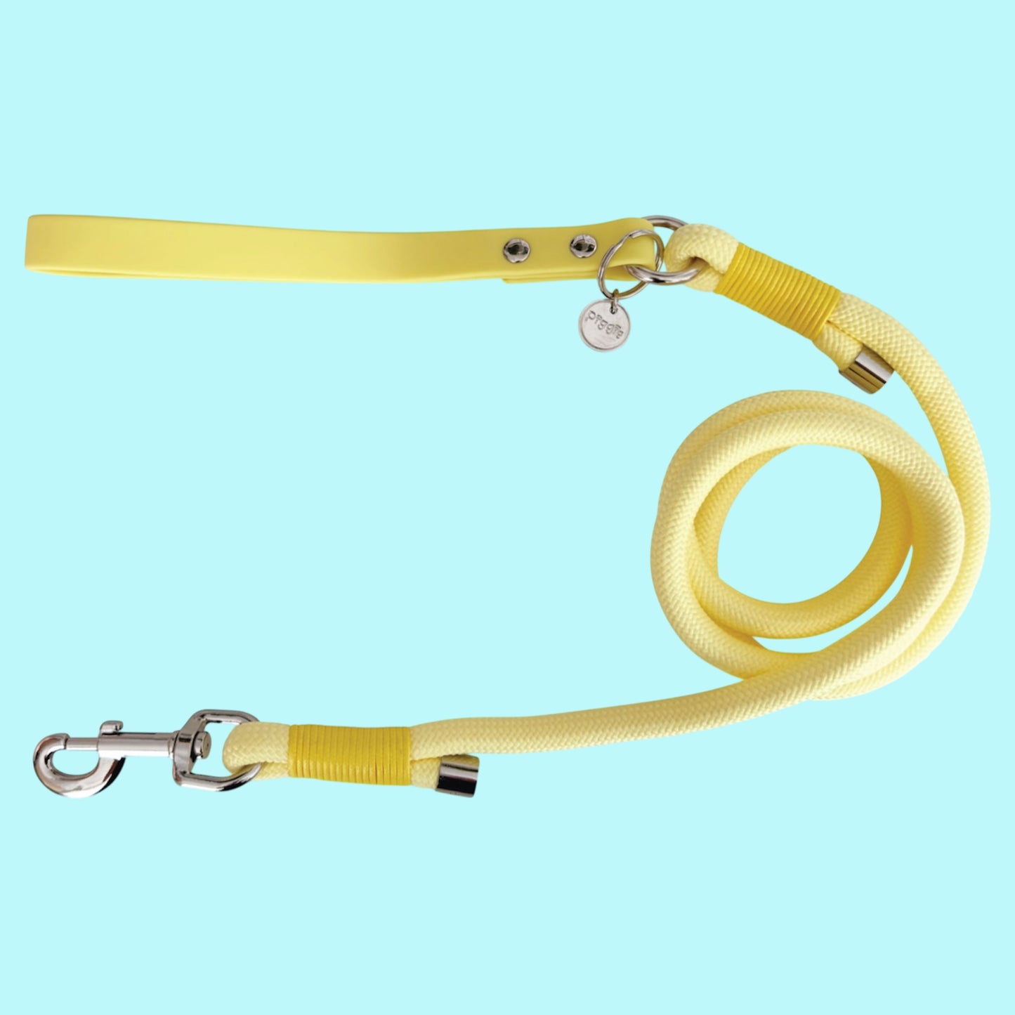 Piggie Rope Lead