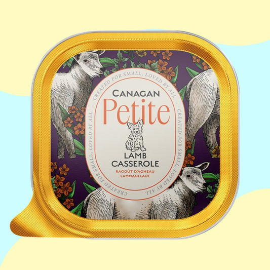 Canagan Petite Lamb Casserole Pate 100g