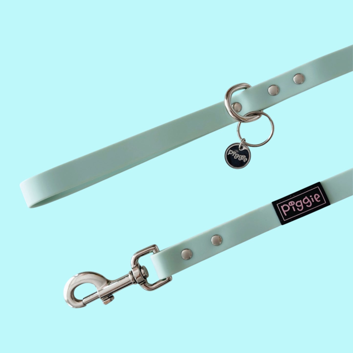 Piggie Waterproof Lead