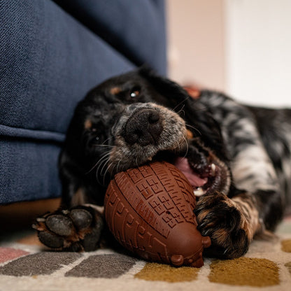 Stay Wild Grizzly Bear