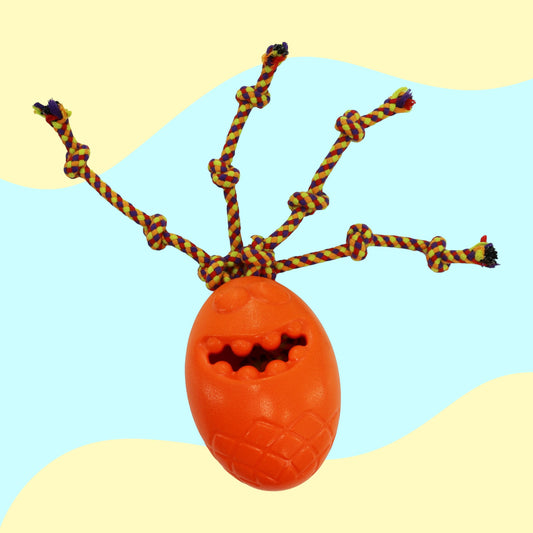 Ancol Orva Treat Monster